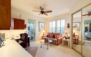 Home Office with Sofa Bed and Natural Light