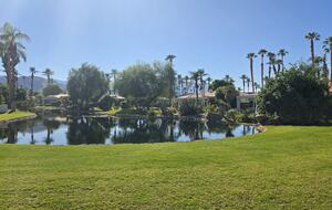 Serene Lake Views at Desert Horizons