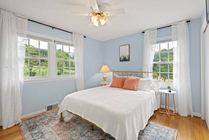 Cozy Mountain Cottage Between Asheville & Brevard - Mills River, North Carolina