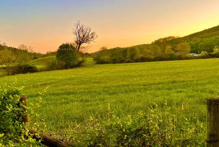 Cozy Mountain Cottage Between Asheville & Brevard - Mills River, North Carolina