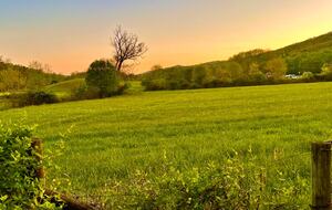 Cozy Mountain Cottage Between Asheville & Brevard - Mills River, North Carolina