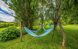 Cozy Mountain Cottage Between Asheville & Brevard - Mills River, North Carolina