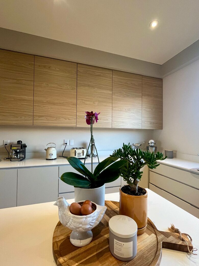 Elegant Getaway near Plaza Mayor León - León de los Aldama, Mexico