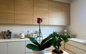 Elegant Getaway near Plaza Mayor León - León de los Aldama, Mexico