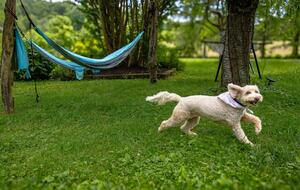 Cozy Mountain Cottage Between Asheville & Brevard - Mills River, North Carolina