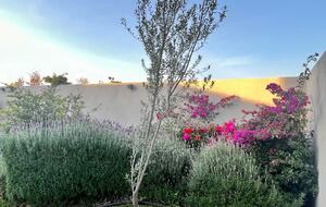 Elegant Getaway near Plaza Mayor León - León de los Aldama, Mexico