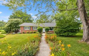 Cozy Mountain Cottage Between Asheville & Brevard - Mills River, North Carolina