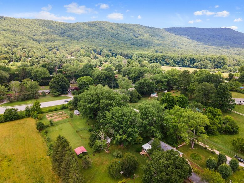 Cozy Mountain Cottage Between Asheville & Brevard - Mills River, North Carolina