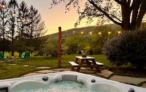 Cozy Mountain Cottage Between Asheville & Brevard - Mills River, North Carolina