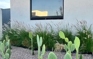 Elegant Getaway near Plaza Mayor León - León de los Aldama, Mexico