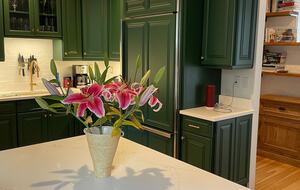 Boulder Heritage Home | 1875 Downtown Boulder Retreat - Boulder, Colorado