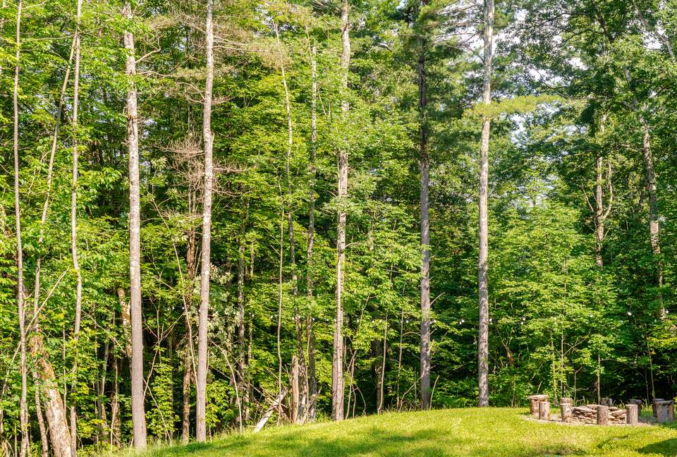 Architectural Mountain Escape Near Belleayre & Plattekill - Margaretville, New York