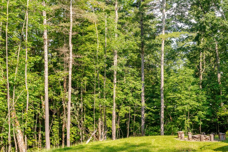 Architectural Mountain Escape Near Belleayre & Plattekill - Margaretville, New York