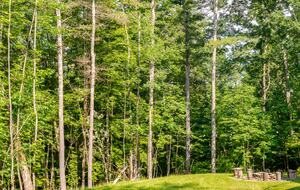 Architectural Mountain Escape Near Belleayre & Plattekill - Margaretville, New York