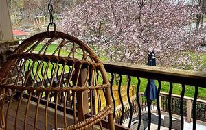 Dockside Serenity | A Lake Norman Escape - Denver, North Carolina