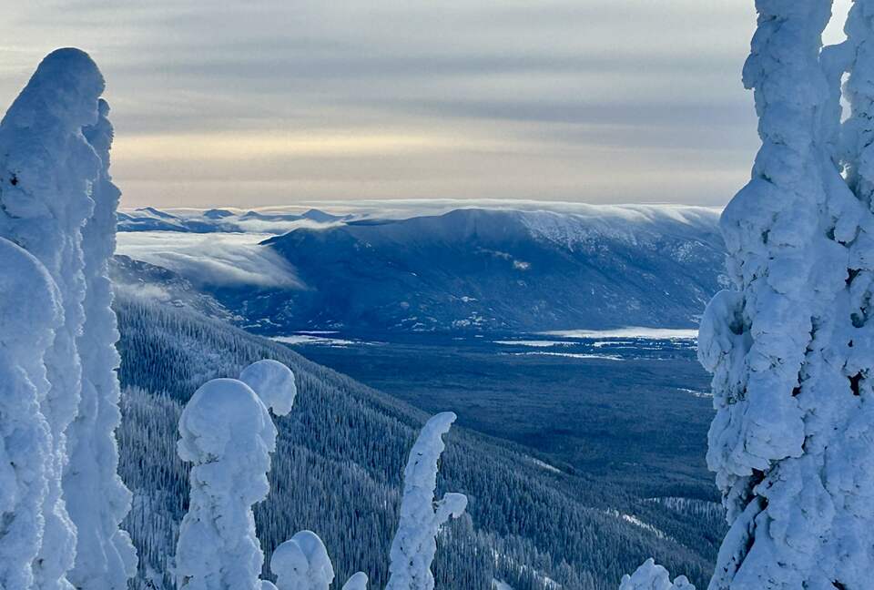 Mountain Comfort Near Trails, Town & Glacier National Park - Whitefish, Montana