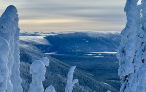 Mountain Comfort Near Trails, Town & Glacier National Park - Whitefish, Montana