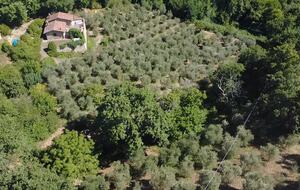 Elegant Countryside Suite in a Restored Villa near Massa Marittima - Massa Marittima, Italy