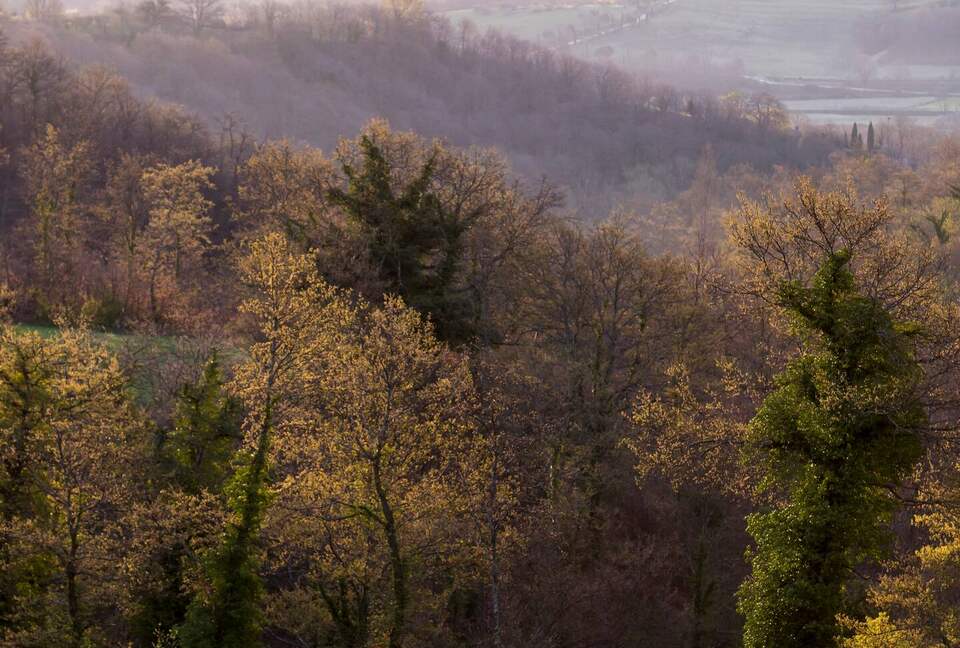East Face Apartment in a Historic Farmhouse - Castiglione del Lago, Italy