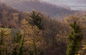West Face Apartment in a Historic Farmhouse - Castiglione del Lago, Italy