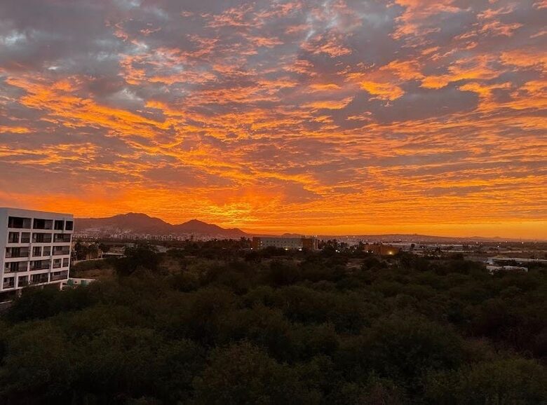 Stylish Coastal Escape in the Heart of Cabo San Lucas - Cabo San Lucas, Mexico