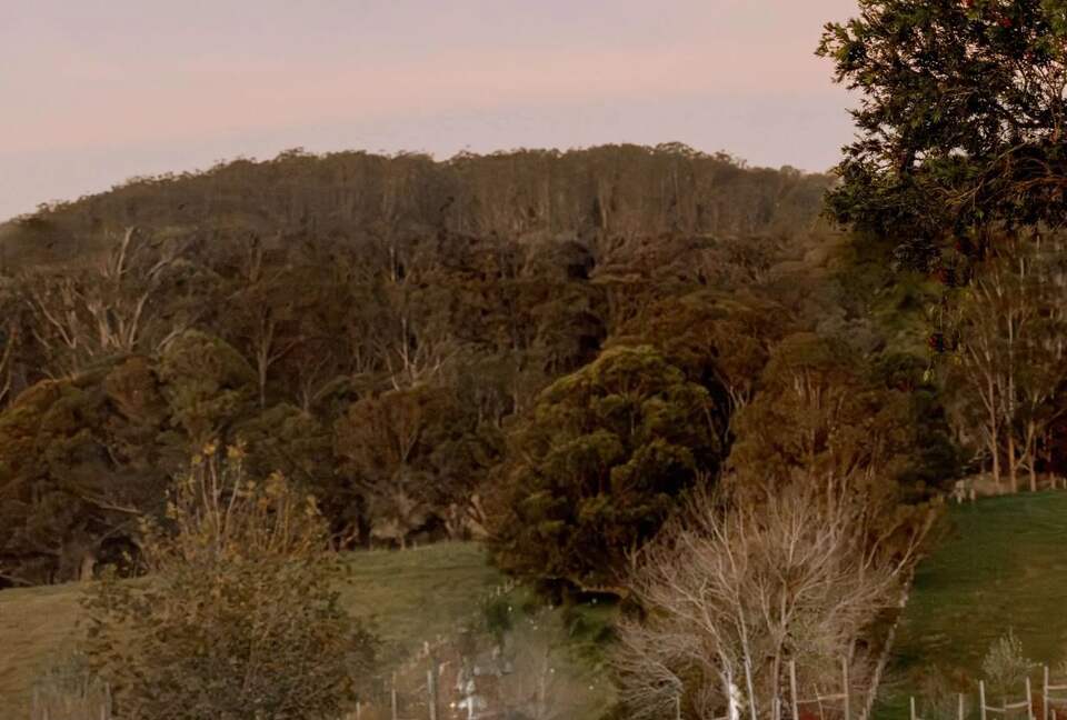 Luxury farmstay Berry NSW - Linnaeus Collection - Berry, Australia