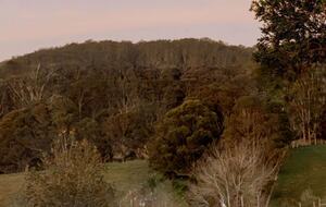 Luxury farmstay Berry NSW - Linnaeus Collection - Berry, Australia