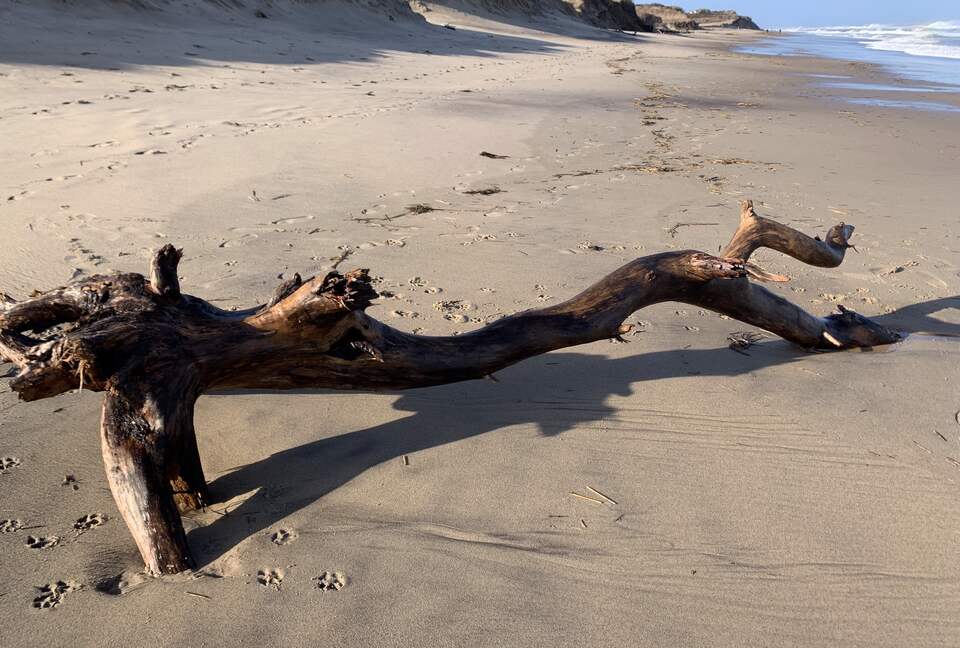 2 Miles to Coast Guard Beach on Ocean