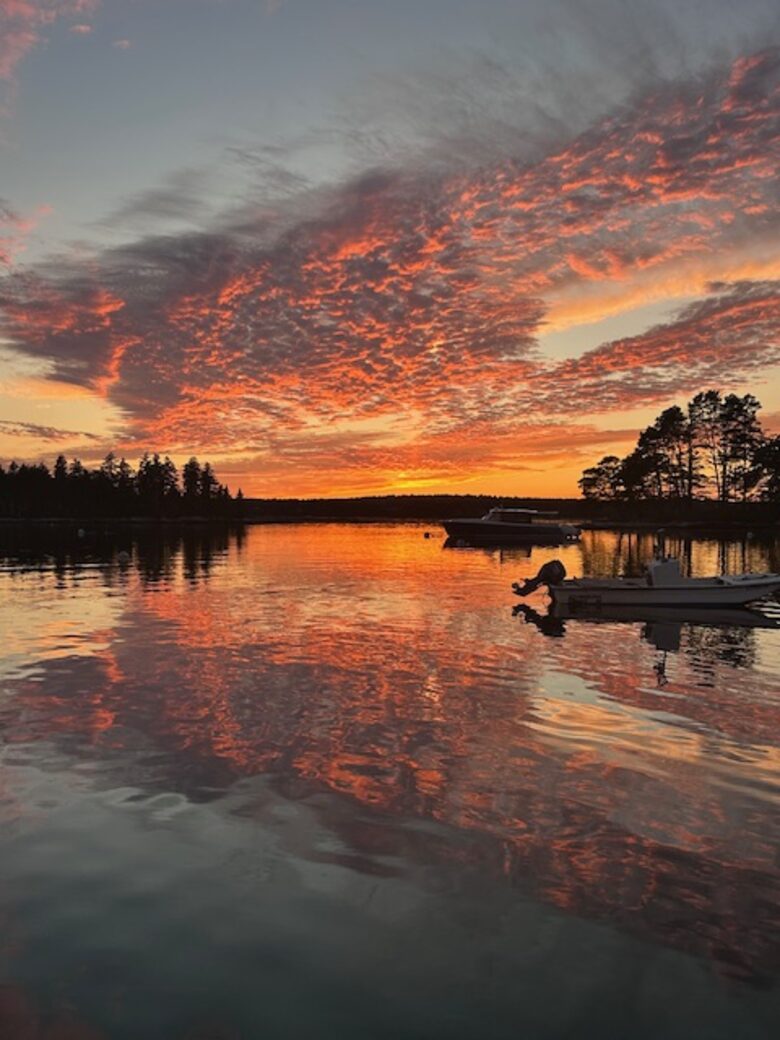 Refined Island Escape Minutes from Boothbay Harbor - Boothbay, Maine
