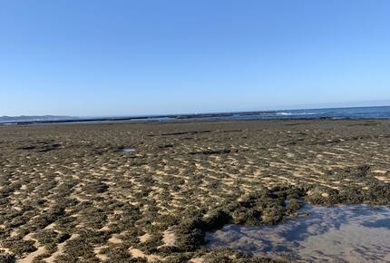 Elegant Oceanview Retreat Surrounded by Nature - Point Lonsdale, Australia