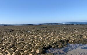 Elegant Oceanview Retreat Surrounded by Nature - Point Lonsdale, Australia