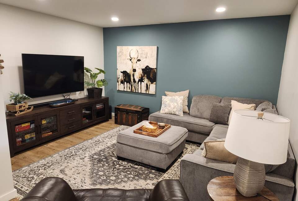 Basement TV room. Pullout sofa bed.