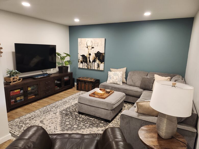 Basement TV room. Pullout sofa bed.