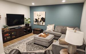 Basement TV room. Pullout sofa bed.