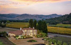 Modern Napa Masterpiece | Estate with Vineyard Views and Resort-Style Amenities - Napa, California