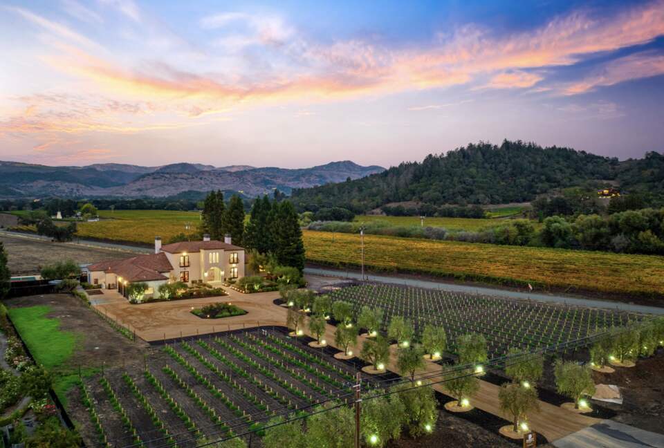 Modern Napa Masterpiece | Estate with Vineyard Views and Resort-Style Amenities - Napa, California