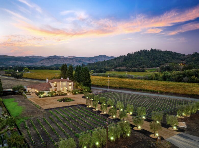 Modern Napa Masterpiece | Estate with Vineyard Views and Resort-Style Amenities - Napa, California