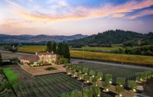 Modern Napa Masterpiece | Estate with Vineyard Views and Resort-Style Amenities - Napa, California