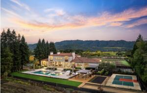 Modern Napa Masterpiece | Estate with Vineyard Views and Resort-Style Amenities - Napa, California