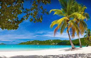 Caribbean Elegance | Oceanview Villa with Saltwater Pool - Northside, Virgin Islands, U.S.