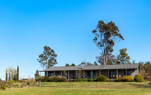 Bullio - Australian Farm Experience - Sydney, Australia