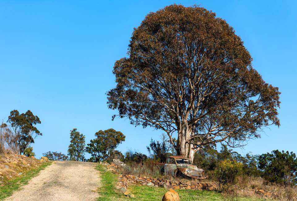 Bullio - Australian Farm Experience - Sydney, Australia