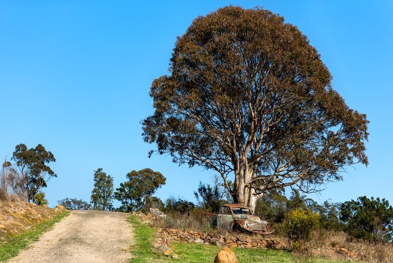 Bullio - Australian Farm Experience - Sydney, Australia