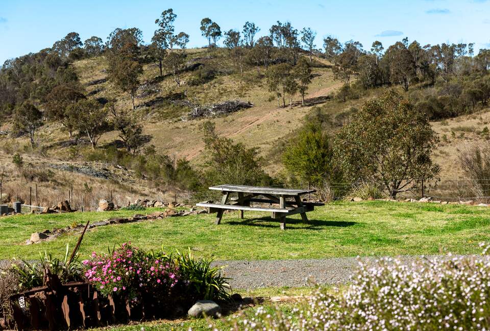 Bullio - Australian Farm Experience - Sydney, Australia