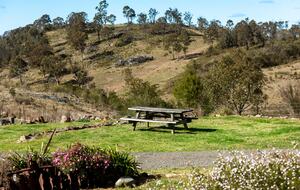 Bullio - Australian Farm Experience - Sydney, Australia