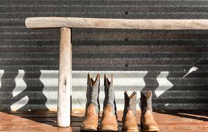 Bullio - Australian Farm Experience - Sydney, Australia