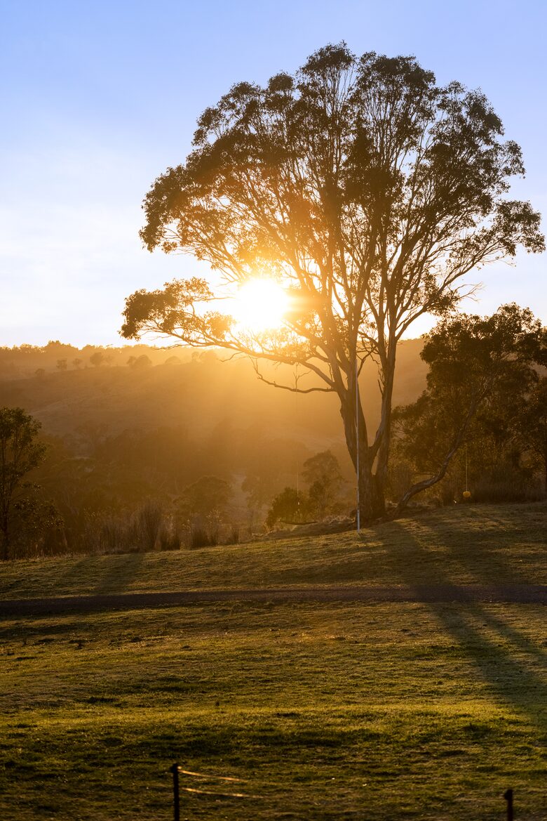 Bullio - Australian Farm Experience - Sydney, Australia