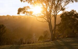 Bullio - Australian Farm Experience - Sydney, Australia