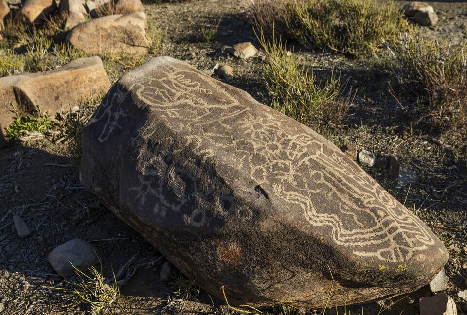 Elegant Countryside Haven in Hacienda Frutillar y Tambillo - Petorca, Chile