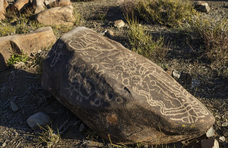 Elegant Countryside Haven in Hacienda Frutillar y Tambillo - Petorca, Chile